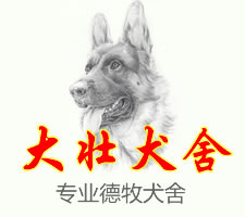 徐州大壮犬舍的图标